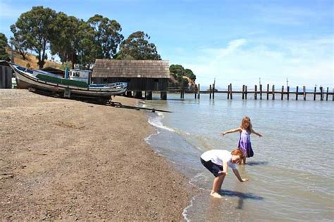 Best Marin County Beaches for Families | Marin Mommies