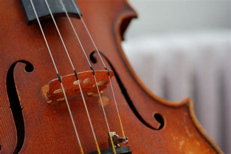 Choosing Violin Strings Online - Complete Buyer's Guide - McNeela Music