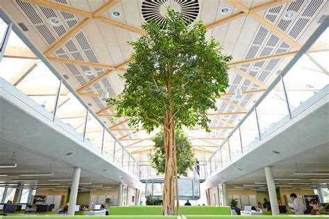 The Living Planet Centre (WWF) | Airey Spaces architectural photography