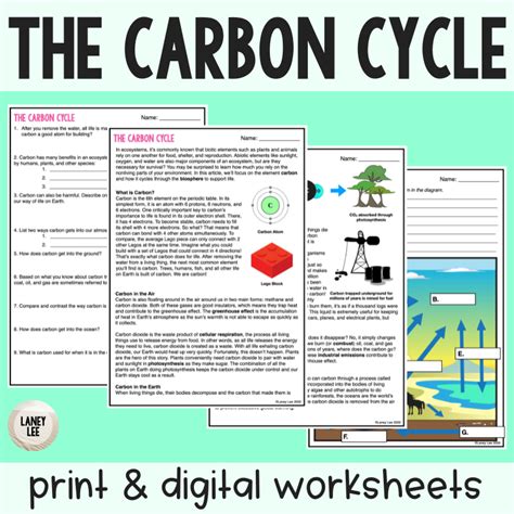 The Carbon Cycle - Reading Comprehension Worksheets