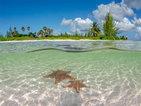 The Best Things To Do in the Cayman Islands: 16 Essential Experiences