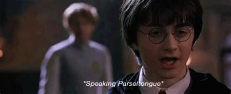 Parseltongue Harry Potter GIF - Parseltongue HarryPotter ChamberOfSecrets - Discover & Share GIFs