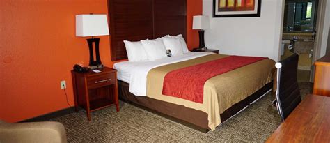 Comfort Inn Greensboro North Carolina - Hotels in Greensboro