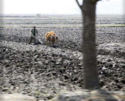 Stone Age Farming