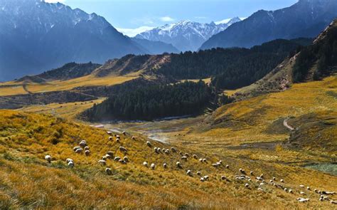 Qilian Mountains, ideal place for an autumn excursion[1]- Chinadaily.com.cn