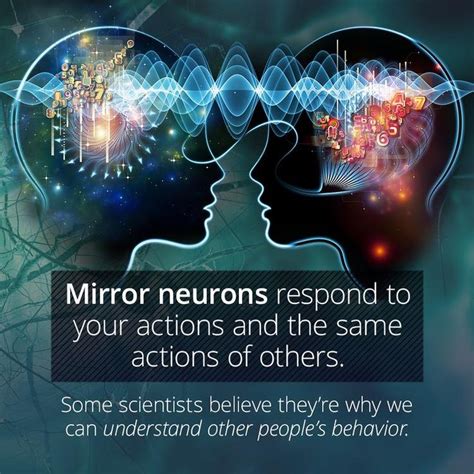 Home | Mirror neuron, Brain facts, Neurons