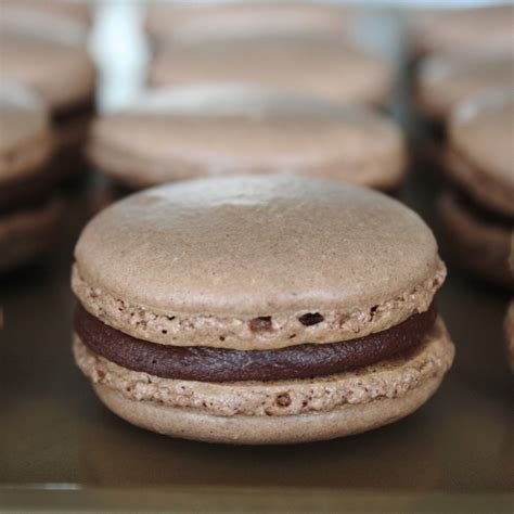 Decadent Chocolate Macarons · How To Bake A Macaron · Recipes on Cut ...