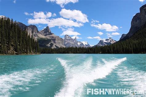 Lake Athabasca Fishing Charters & Guides | FishAnywhere