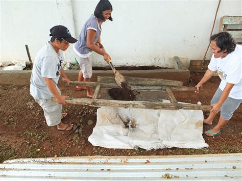 Vermicast Harvest Time | Department of Agrarian Reform