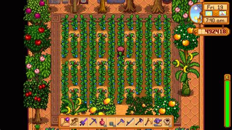 How to find Ancient Seeds & grow Ancient Fruit in Stardew Valley