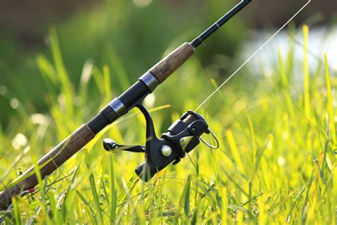 Best Rod and Reel Combos for Catfish in 2023 - Rogue Rods