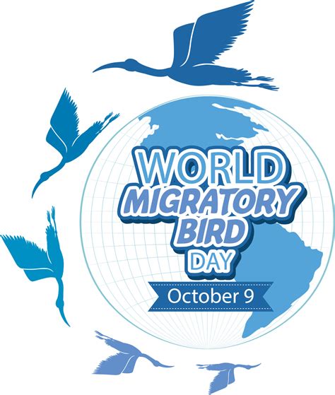 World Migratory Bird Day Banner Concept 11120010 Vector Art at Vecteezy