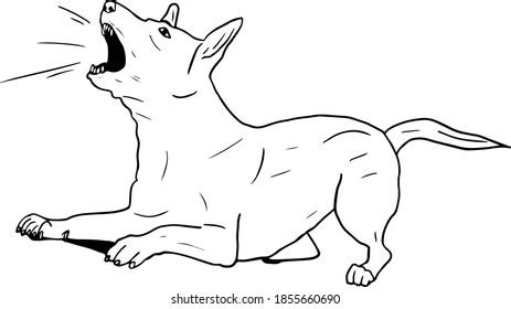 Barking Dog Vector Illustration Angry Dog Stock Vector (Royalty Free) 1855660690 | Shutterstock