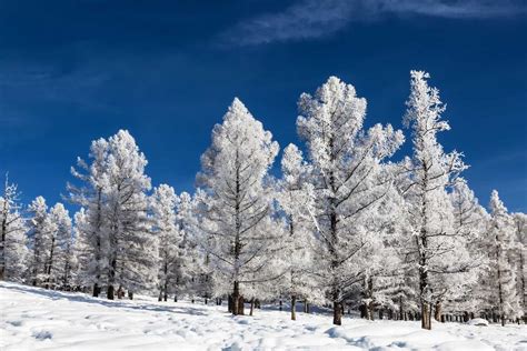 Expierence Siberian winter - Tour to Altai - Kaichitravel