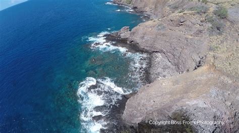 Coral Gardens Snorkel Guide | Boss Frog's Hawaii