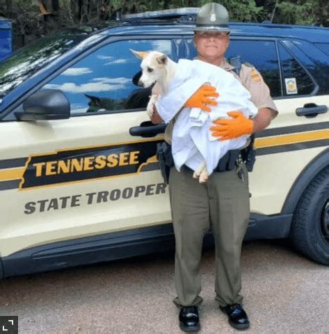 Tennessee Highway Patrol Trooper Adopts Dog He Rescued From Extreme Heat | DogExpress