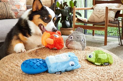 Super Pets Toys : Power up Your Pet's Playtime