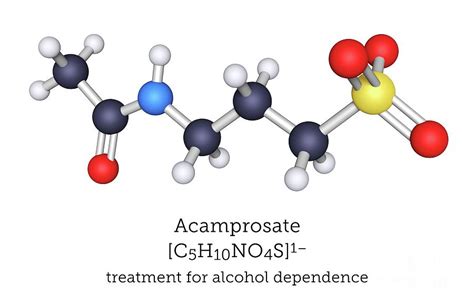 Acamprosate Alcoholism Treatment Molecule #1 by Greg Williams/science Photo Library