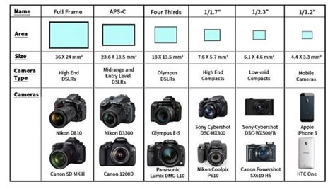 Photography Different Types Of Cameras - Inselmane