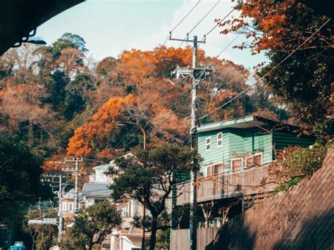 Kamakura Day Trip from Tokyo - Take Your Bag