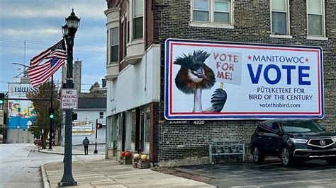 John Oliver buys a bird billboard in Manitowoc