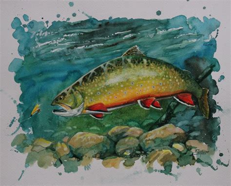 Fine art print of brook trout watercolor painting by Patrick