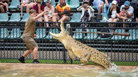 Crikey! Australia Zoo Announces Environmentally Friendly NFT Collection To Help Conservation ...