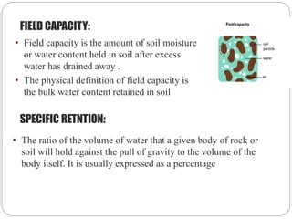 Zone Of Saturation Definition