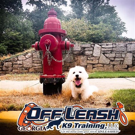 Off Leash K9 Training, Georgia is thrilled to bring world class ...