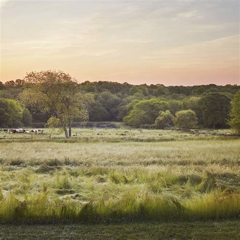 Stone Acres Farm - Works - Reed Hilderbrand