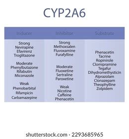 82 Moderate Weak Inhibitors Images, Stock Photos, 3D objects, & Vectors ...