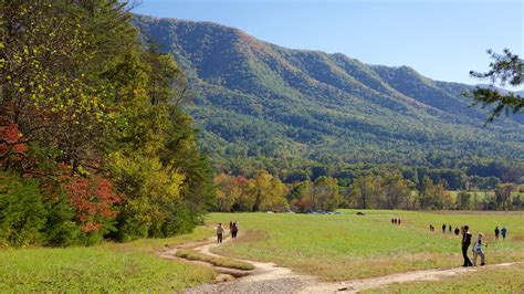 The Best Hotels Closest to Cades Cove in Townsend for 2021 - FREE ...