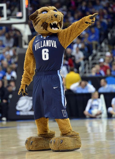 Will D. Cat, Villanova Wildcats mascot. | College basketball teams, Villanova wildcats ...