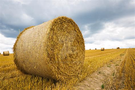 The straw bale in the field by lp-artSRO on DeviantArt