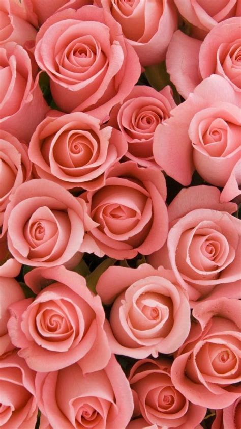 12 Gorgeous Floral iPhone Xs Wallpapers | Preppy Wallpapers | Floral wallpaper iphone, Rose gold ...