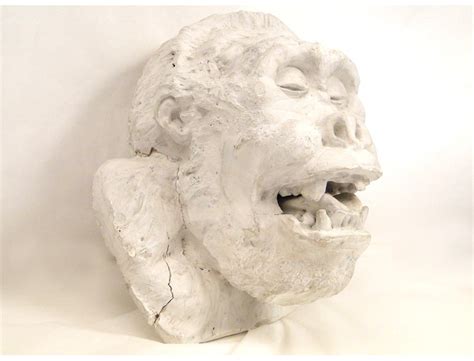 Plaster sculpture, Head of Gorilla style Fremiet, nineteenth