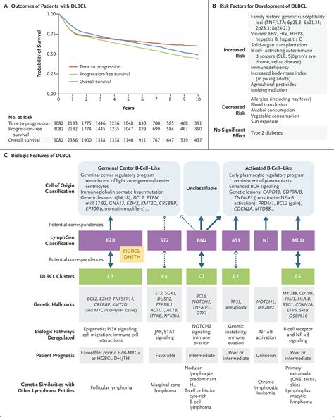 Diffuse Large B-Cell Lymphoma | NEJM