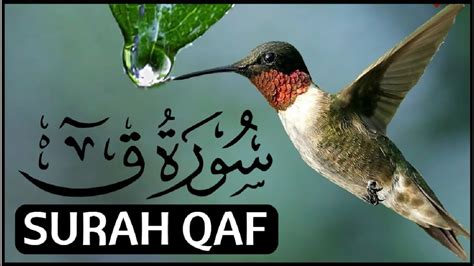 Surah Qaaf Fast Recitation | Surah Qaf Fast Reading | Surah Qaf Fast ...