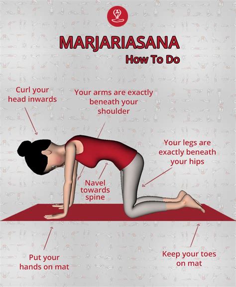 #Marjariasana (#Cat #Yoga #Pose) Makes the spine flexible. Improves ...