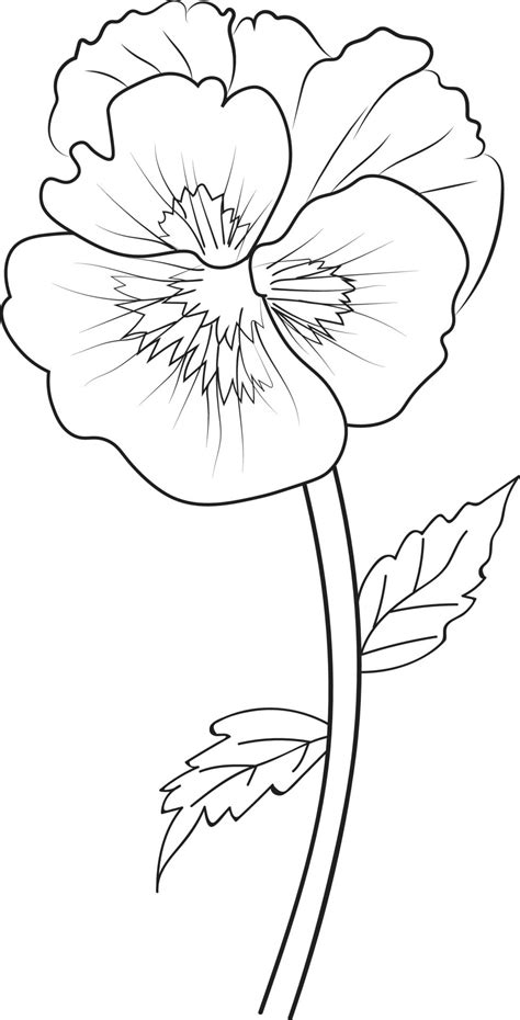 Cute flower coloring pages, pansy drawing, Neon Violet, flower drawing ...