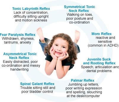 Retained neonatal reflexes | Primitive reflexes, Pediatric physical ...