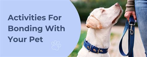 Activities For Bonding With Your Pet – Pet Haus