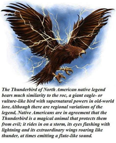 Thunderbird | Native american mythology, Native american legends ...