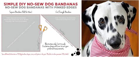 Easy No-Sew DIY Dog Bandana - Dalmatian DIY