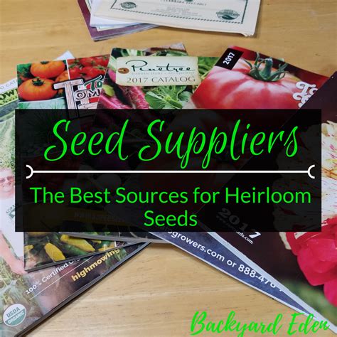 The Best Online Seed Suppliers - Backyard Eden