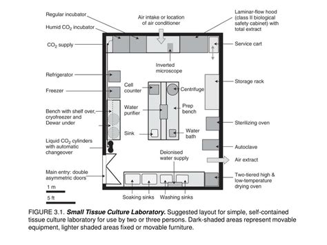 Plant Tissue Culture Laboratory Design - Wallapper