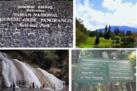 Wisata Taman Nasional Cibodas - Kanal Wisata Indonesia