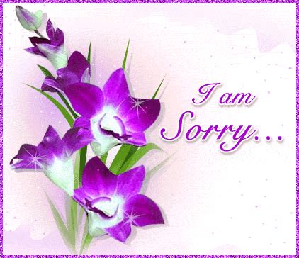 HD HQ wallpapers: i am sorry wallpapers