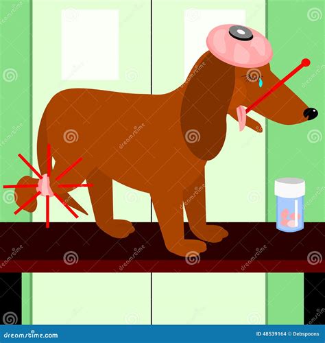 Dog with a hurt leg. stock vector. Illustration of temperature - 48539164