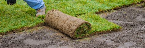 Johns Creek GA Sod Installation | Bermuda Sod | Zoysia Sod | 30097, 30022